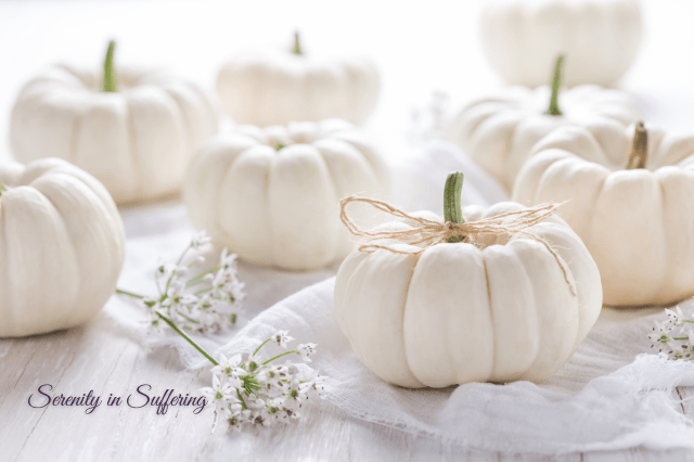 white mini pumpkins on white tablecloth